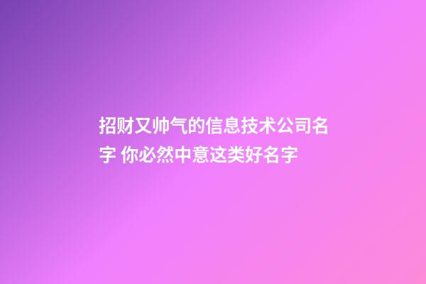 招财又帅气的信息技术公司名字 你必然中意这类好名字-第1张-公司起名-玄机派